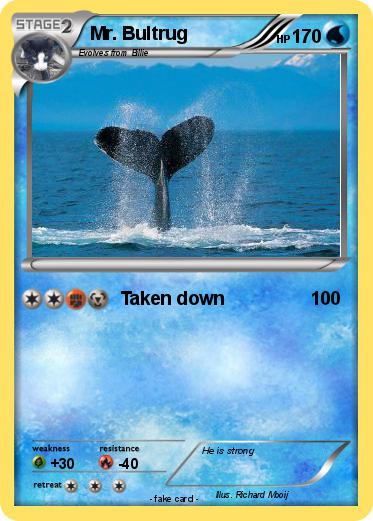 Pokemon Mr. Bultrug