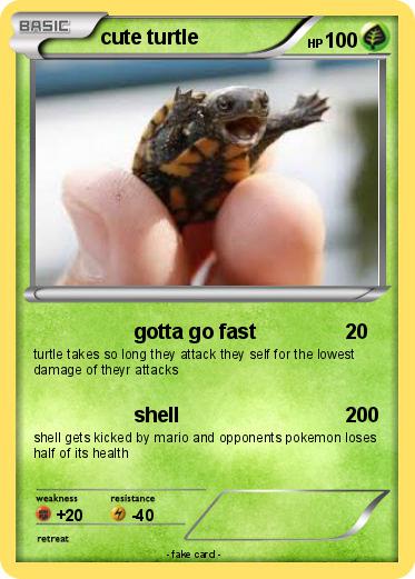 Pokemon cute turtle