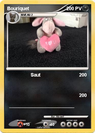 Pokemon Bouriquet