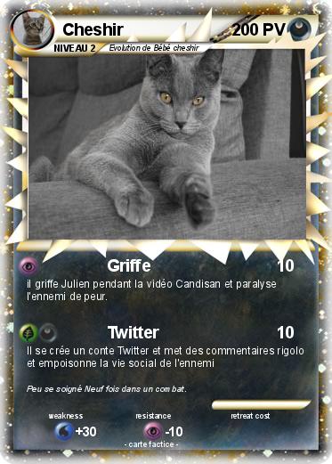 Pokemon Cheshir