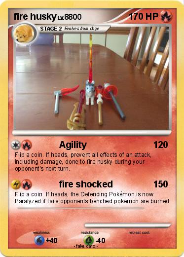 Pokemon fire husky