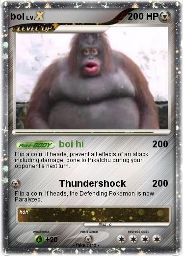 Pokemon boi