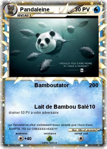 Pokemon Pandaleine