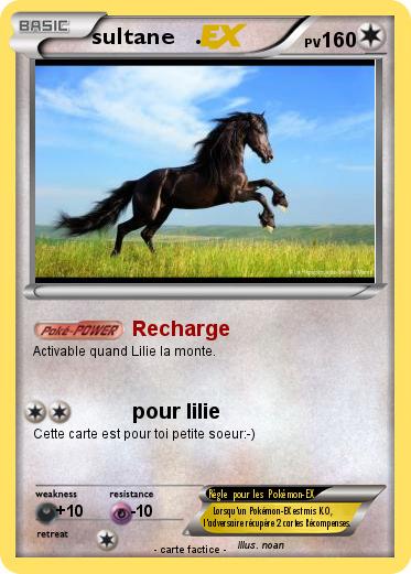 Pokemon sultane   .