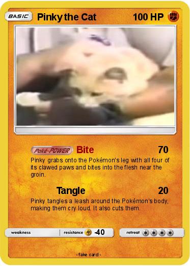 Pokemon Pinky the Cat
