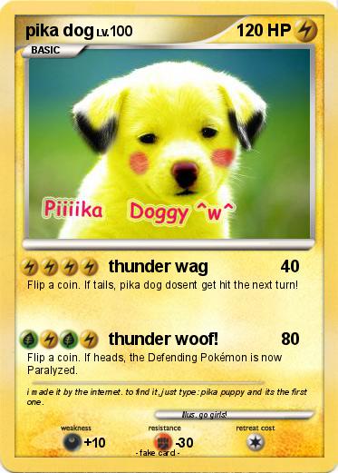 Pokemon pika dog
