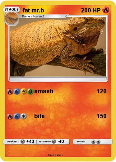 Pokemon fat mr.b