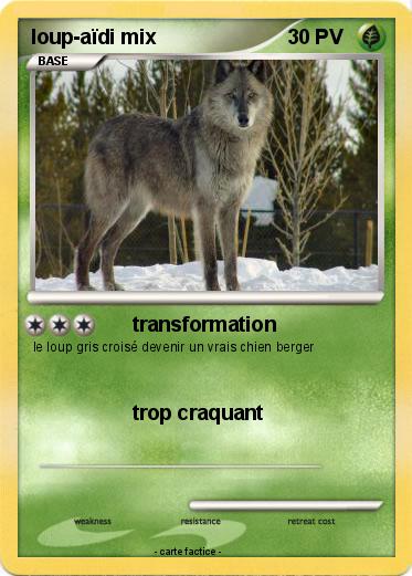 Pokemon loup-aïdi mix