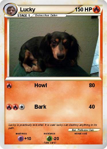 Pokemon Lucky