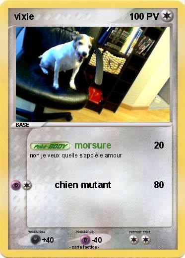 Pokemon vixie