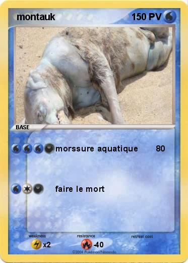 Pokemon  montauk
