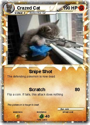 Pokemon Crazed Cat
