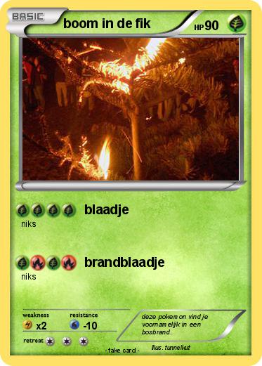 Pokemon boom in de fik