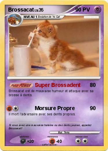 Pokemon Brossacat