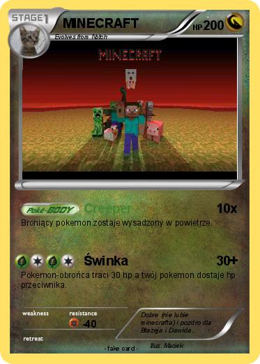 Pokemon MINECRAFT
