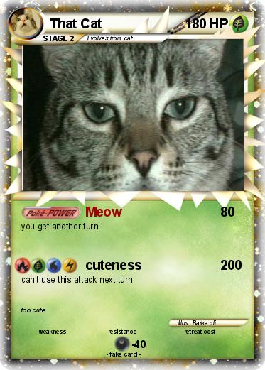 Pokemon That Cat