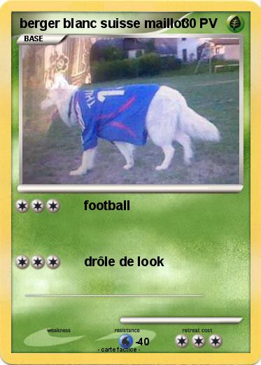 Pokemon berger blanc suisse maillot