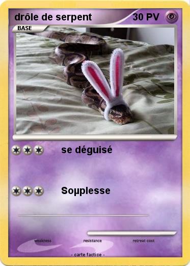 Pokemon drôle de serpent