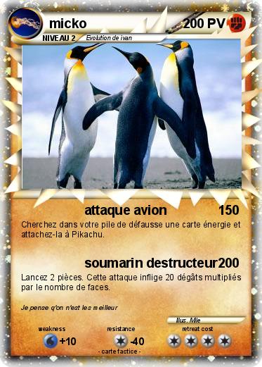 Pokemon micko