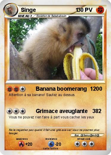 Pokemon Singe                          1