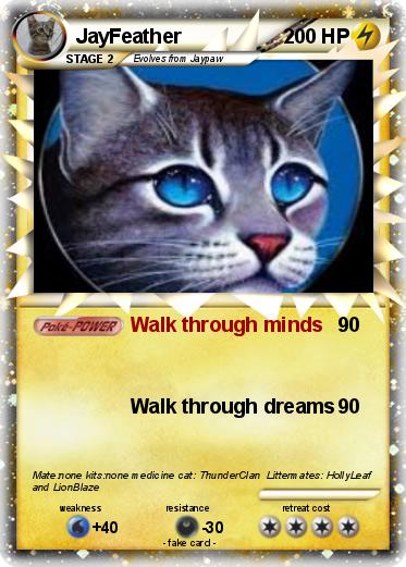 Pokemon JayFeather