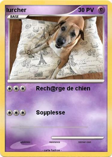 Pokemon lurcher