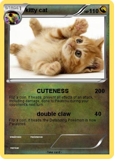 Pokemon kitty cat