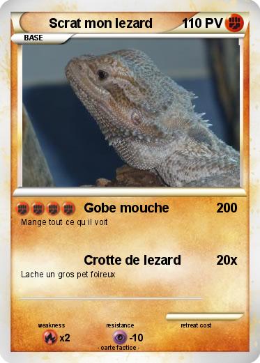 Pokemon Scrat mon lezard
