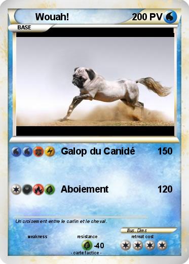 Pokemon Wouah!