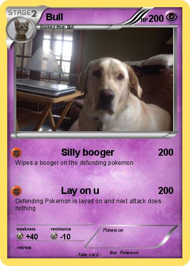 Pokemon Bull