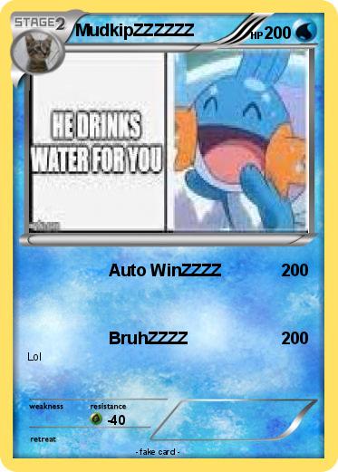 Pokemon MudkipZZZZZZ