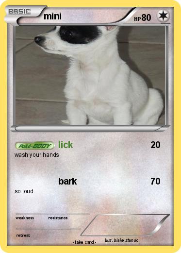 Pokemon mini