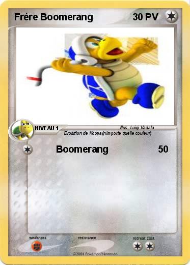 Pokemon Frère Boomerang