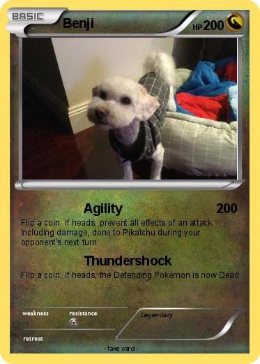Pokemon Benji