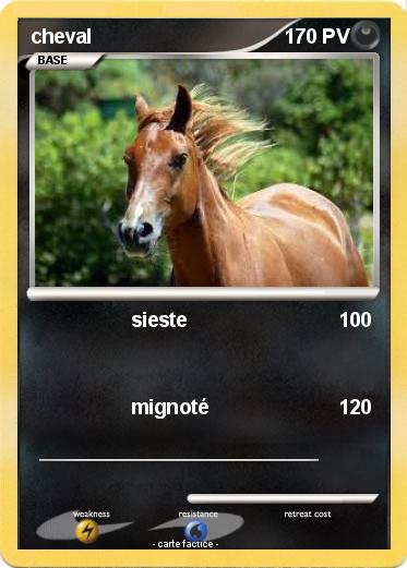 Pokemon cheval