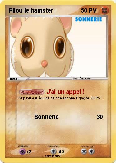 Pokemon Pilou le hamster