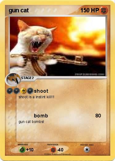 Pokemon gun cat