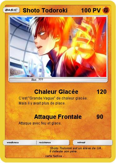 Pokemon Shoto Todoroki