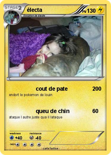 Pokemon électa