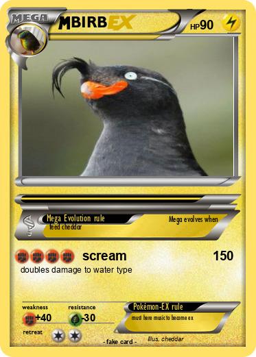 Pokemon BIRB