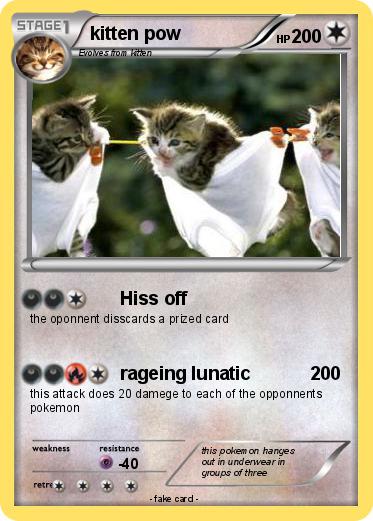 Pokemon kitten pow