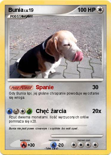 Pokemon Bunia