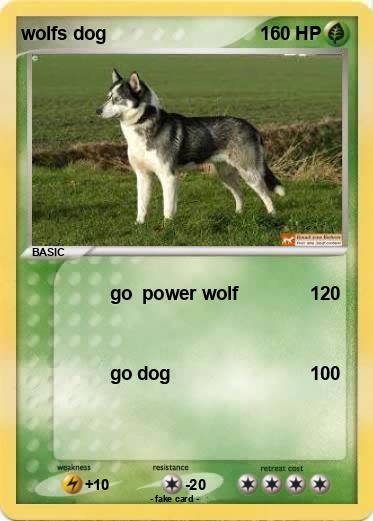 Pokemon wolfs dog