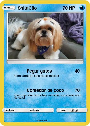 Pokemon ShitaCão