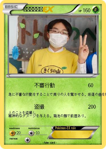 Pokemon 究極のオタク