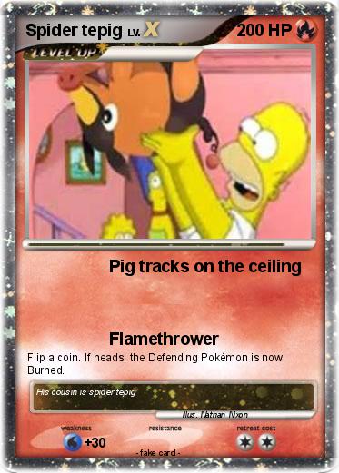 Pokemon Spider tepig