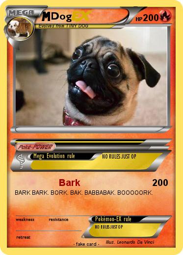 Pokemon Dog
