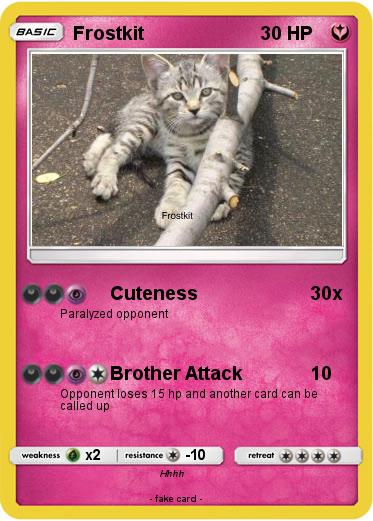 Pokemon Frostkit