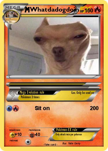 Pokemon Whatdadogdoin