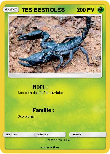 Pokemon TES BESTIOLES